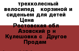 трехколесный велосипед c корзиной и сиденьем для детей › Цена ­ 15 000 - Ростовская обл., Азовский р-н, Кулешовка с. Другое » Продам   